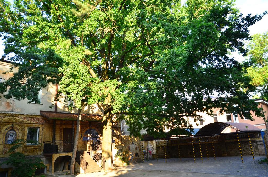 Tihaya Gavan Kherson Extérieur photo